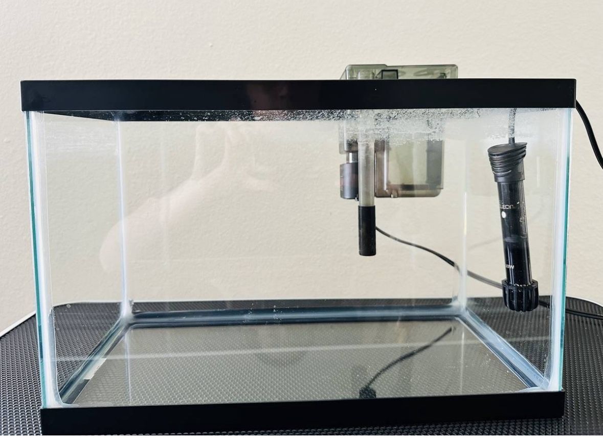 🐠 5.5 Gallon Glass Aquarium + Bonus Supplies– Decor, Heater, Filter & More!