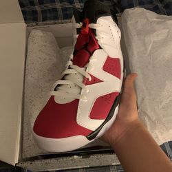 Air Jordan 6 Carmine Size 9.5 DS