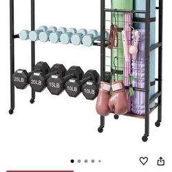 Brand New! Gym Storage Rack + 5 Tiers Yoga Mat Holder Rack Wall Mount