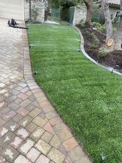 Sod Irragation 