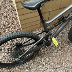 specialized (Status) mtb