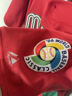 Lot Detail - Vinny Castilla 2006 World Baseball Classic Game Used Mexico  Jersey