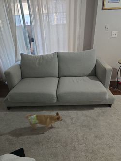 Light Gray Fabric Loveseat Sofac