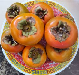 Sweet and crunchy Persimmon
