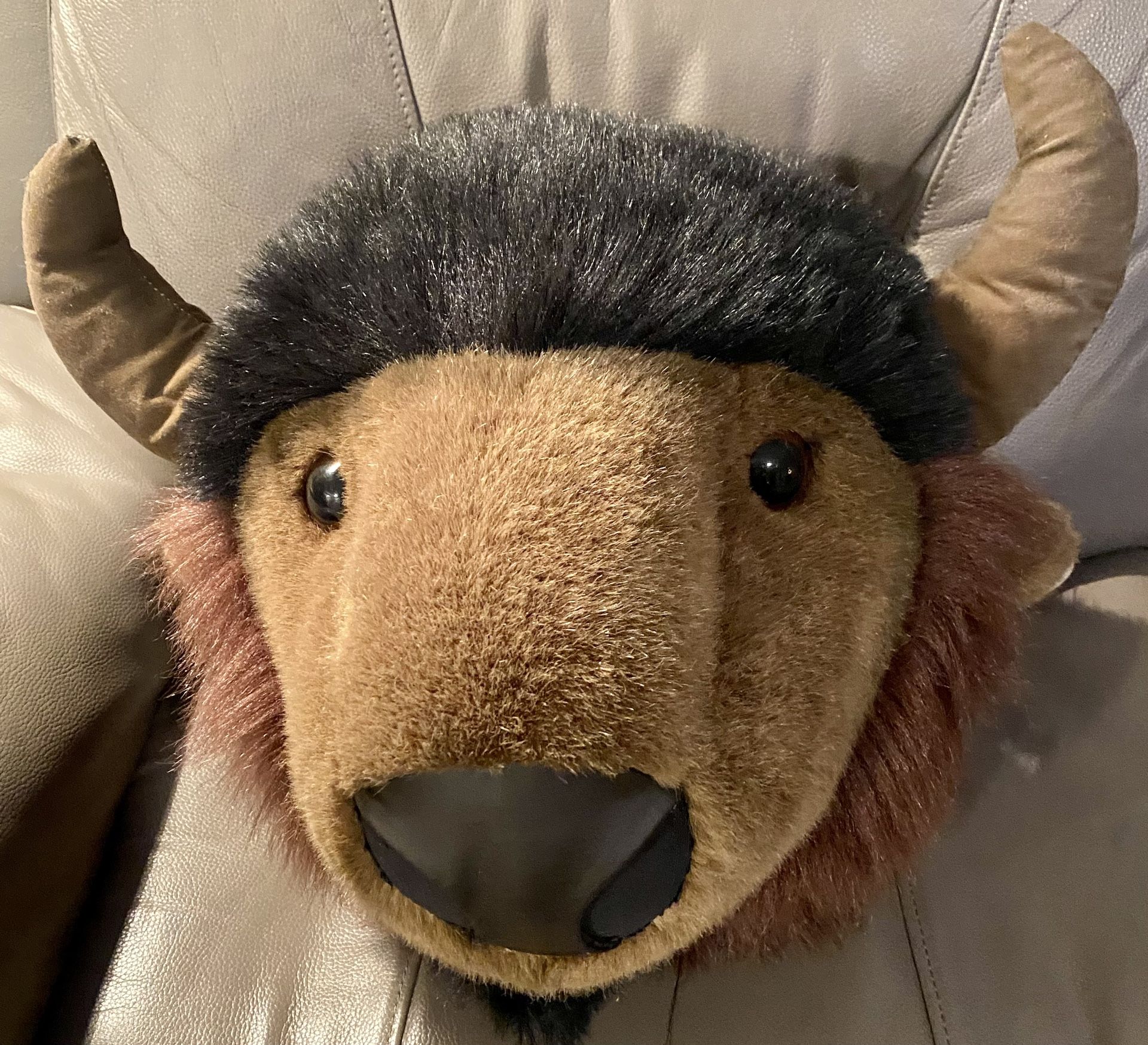 Stuffed Animal Mounted Bison Head 