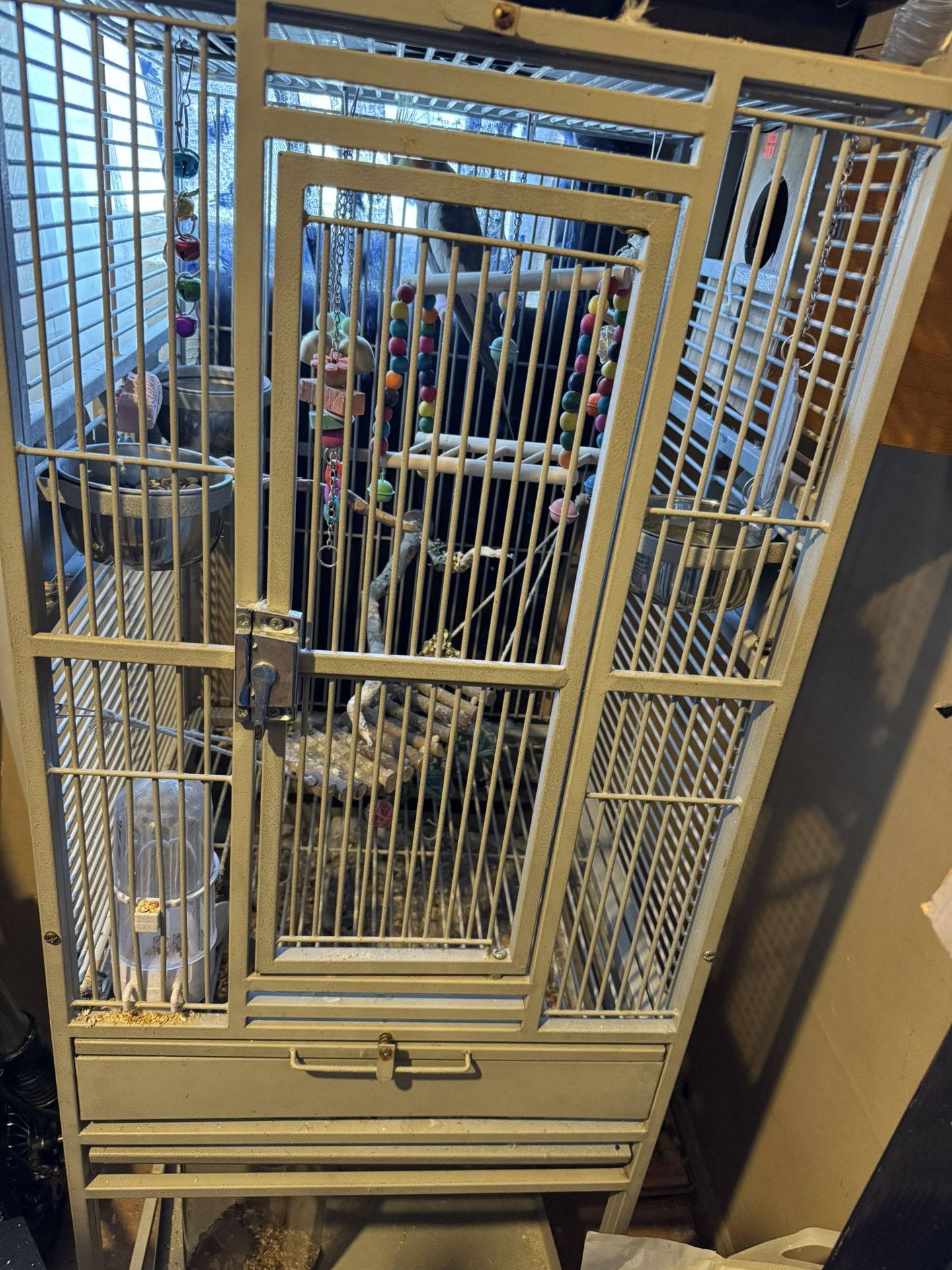 Bird Cage / Bird
