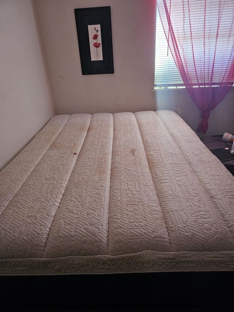 Queen Bed