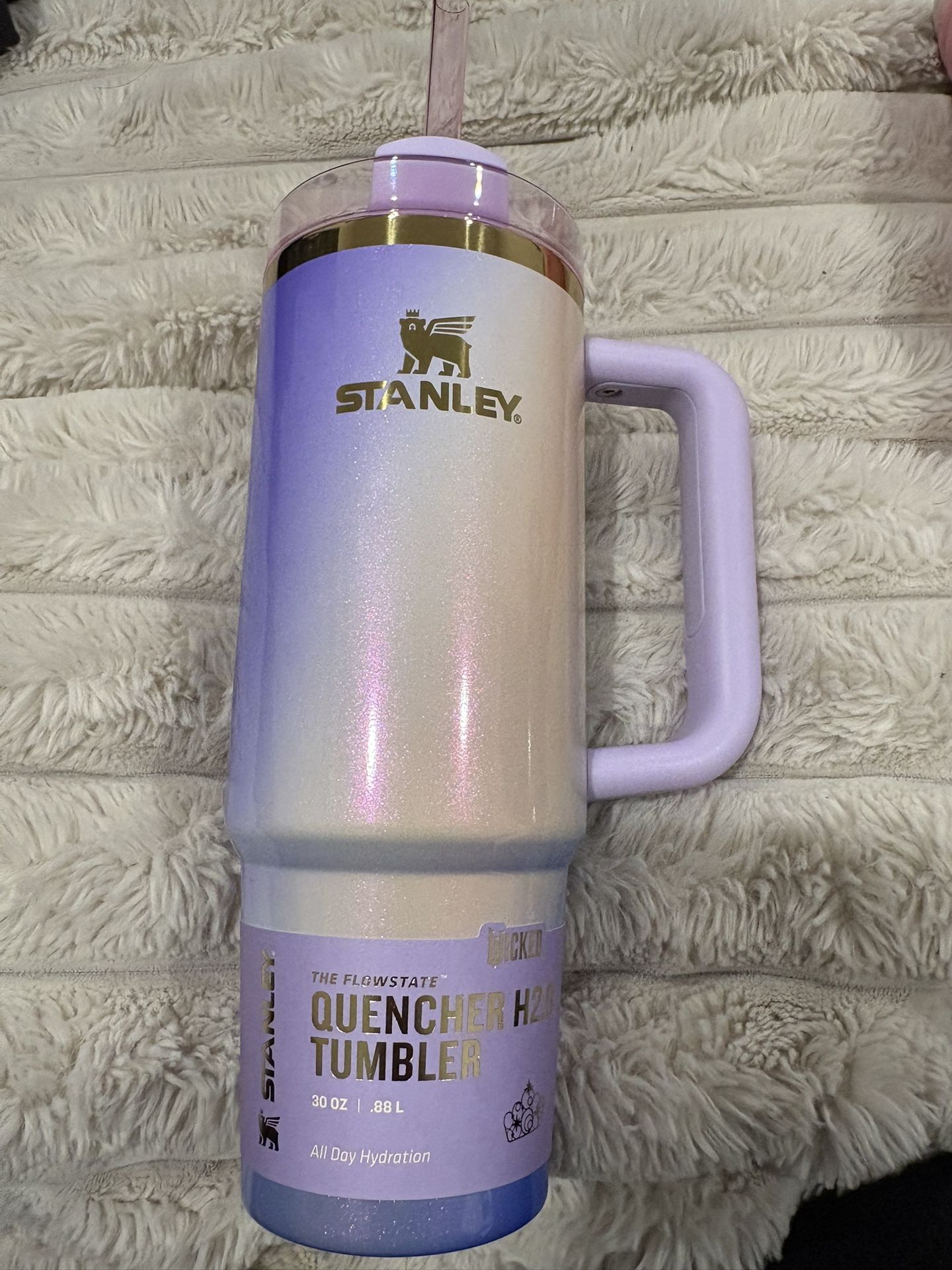 Wicked Edition 2025 Stanley Tumbler 30oz