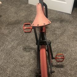 Customized Bicycle