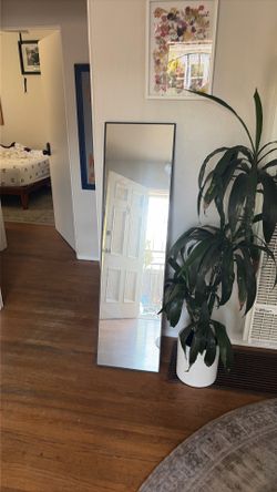Full length body Mirror