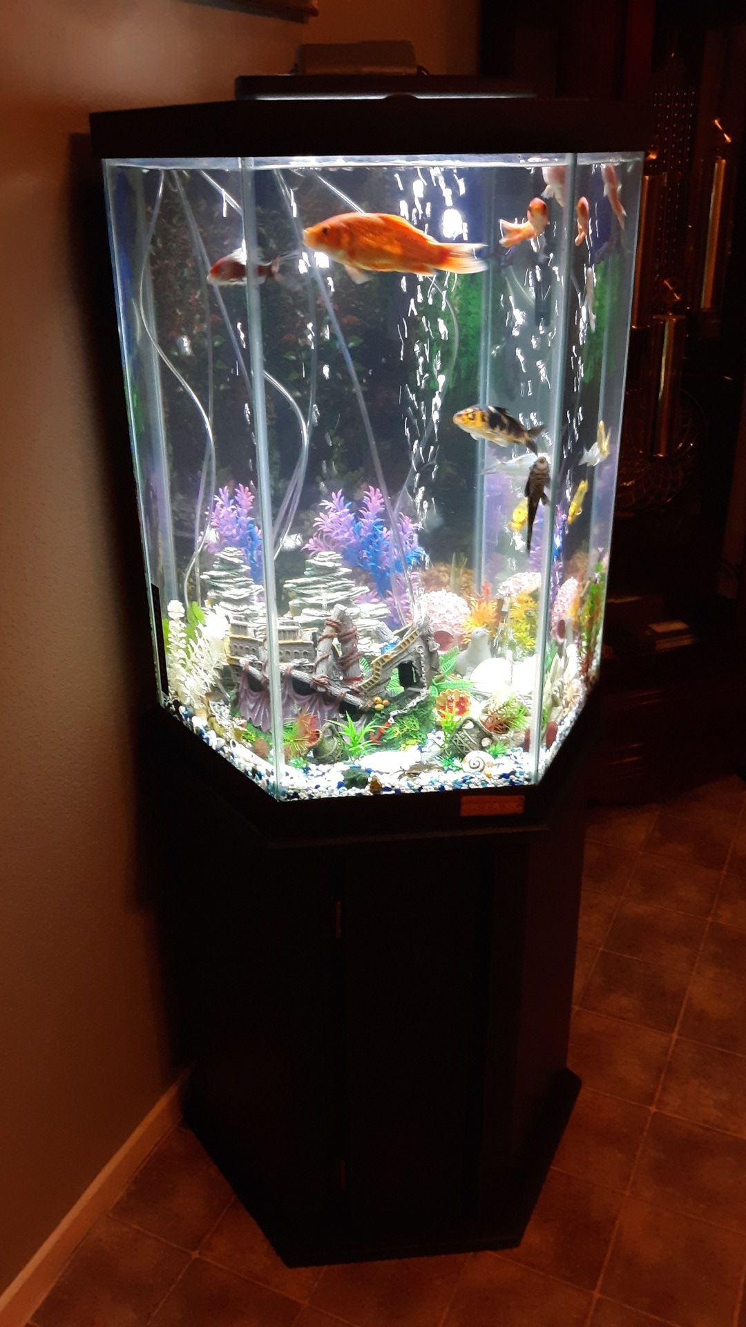 Hexagon Fish Tank Aquarium