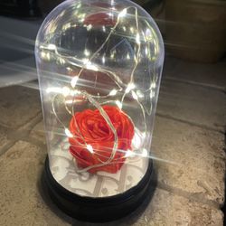 Enchanted Rose Lamp 