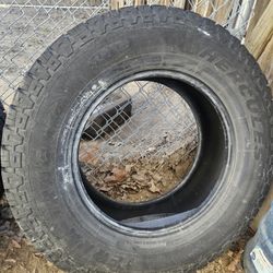 Tires /llantas 