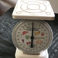 Vintage American Family Scale Mid-Century 