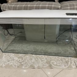 Fluval 32.5 Gallon Fish Tank, Top Light Filter Heater 