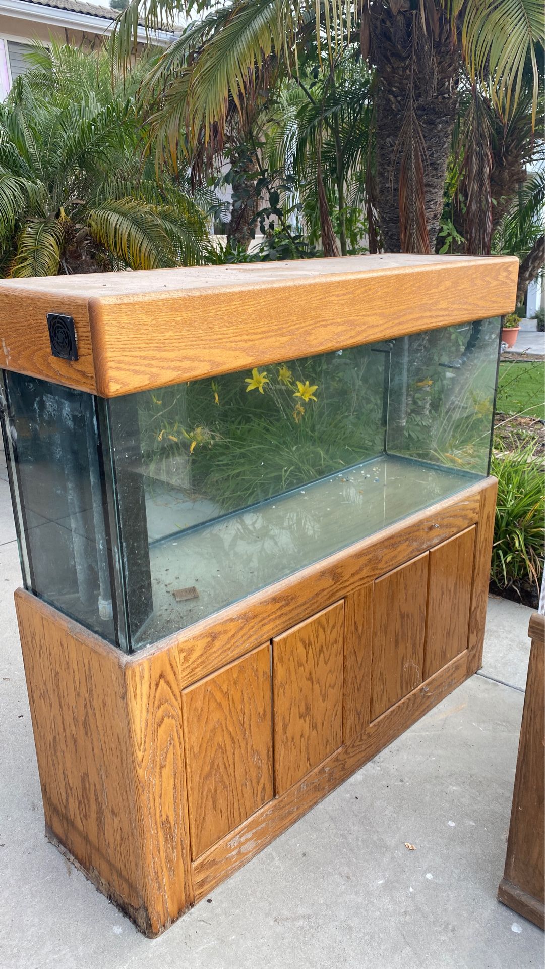 125 gallon fish tank