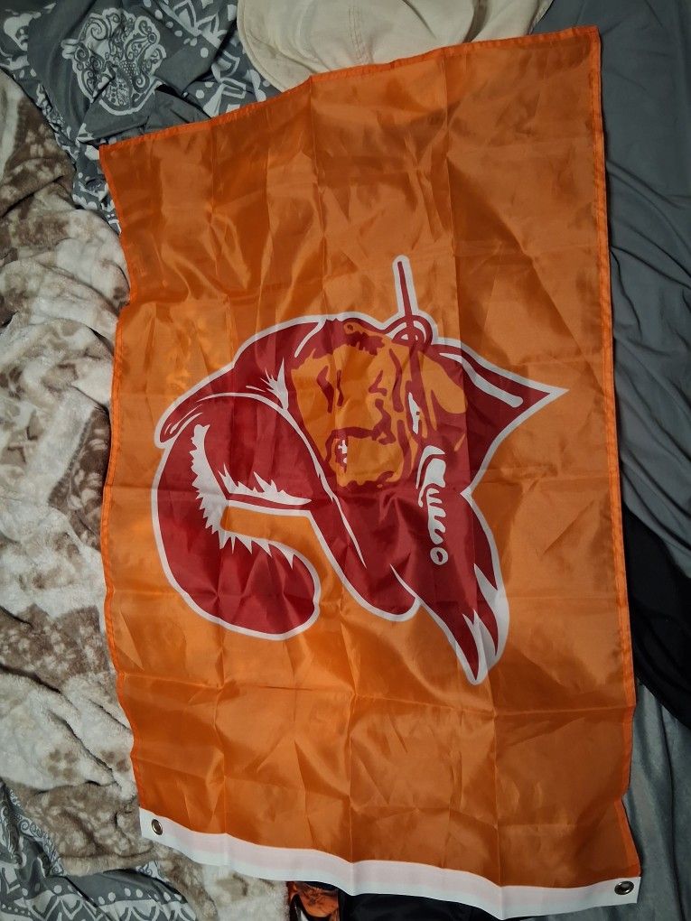 VINTAGE Bucs FLAG