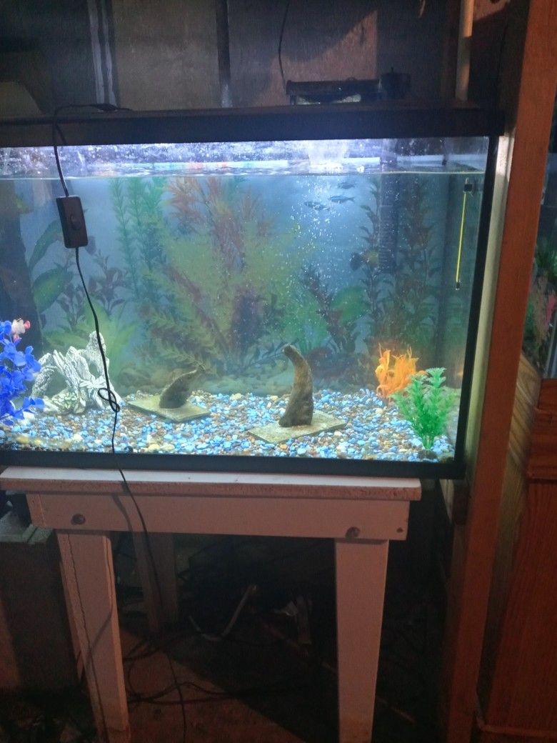 30 Gallon Fish Tank