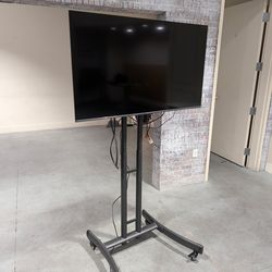 Tv and stand