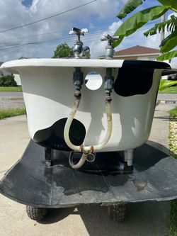 Cow Print  Painted  Planter / Yard Art