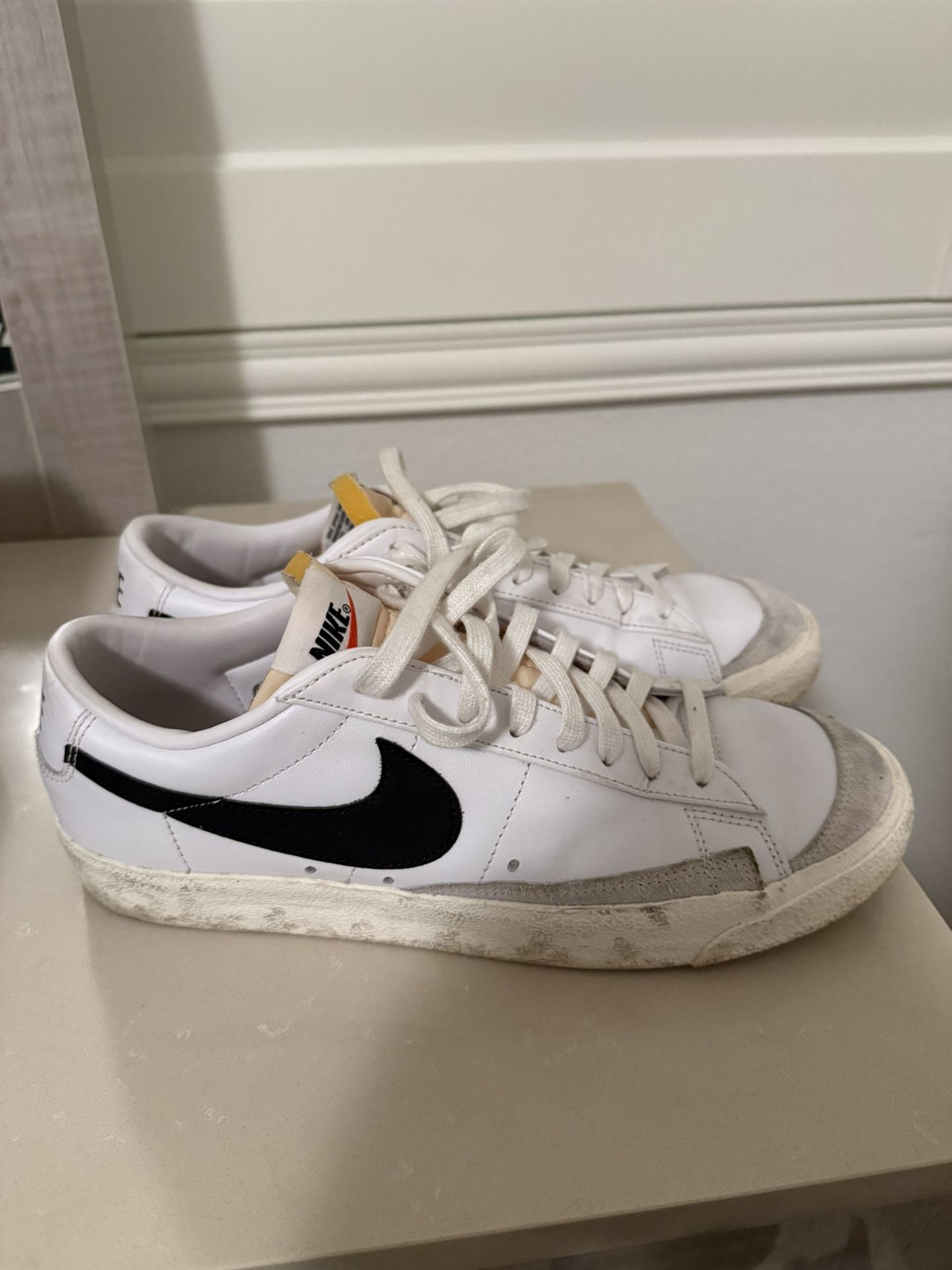 Men’s Nike Shoes (Size 10)