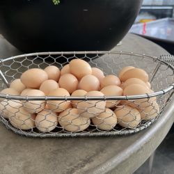 Fresh Organic Eggs