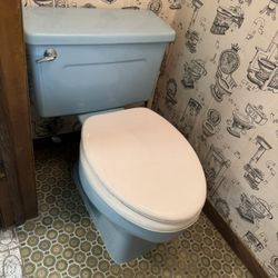 Vintage Toilet Blue Green
