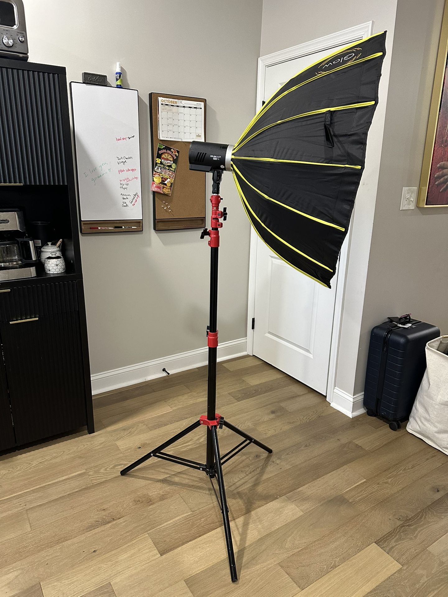 Flashpoint AD300 Pro Portable Flash Strobe Light