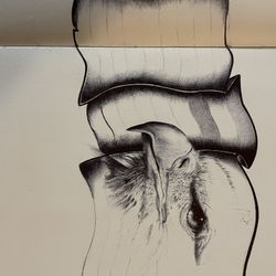 (Original Artwork) Graffiti, Portraits, Animation, Logos 