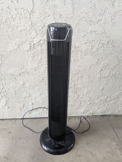 Fan