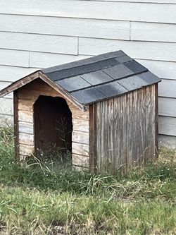 Large Dog House