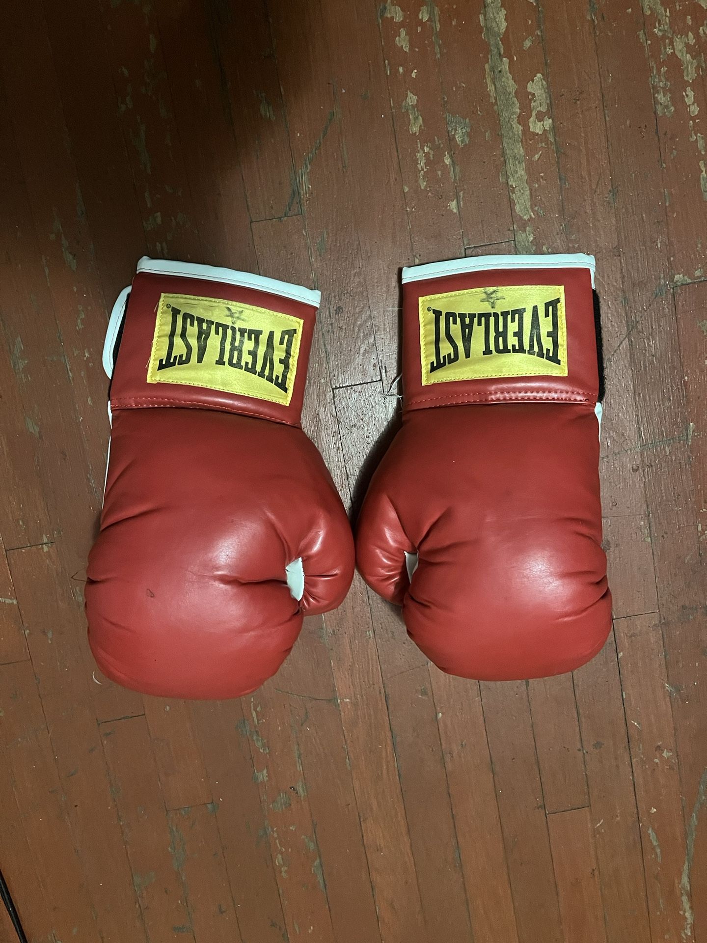 Everlast Boxing Gloves