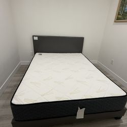 Queen Bed And Mattress