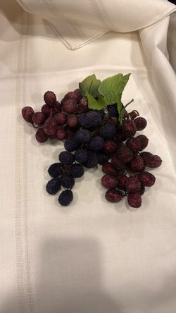 Grapes On A Vine- Decor