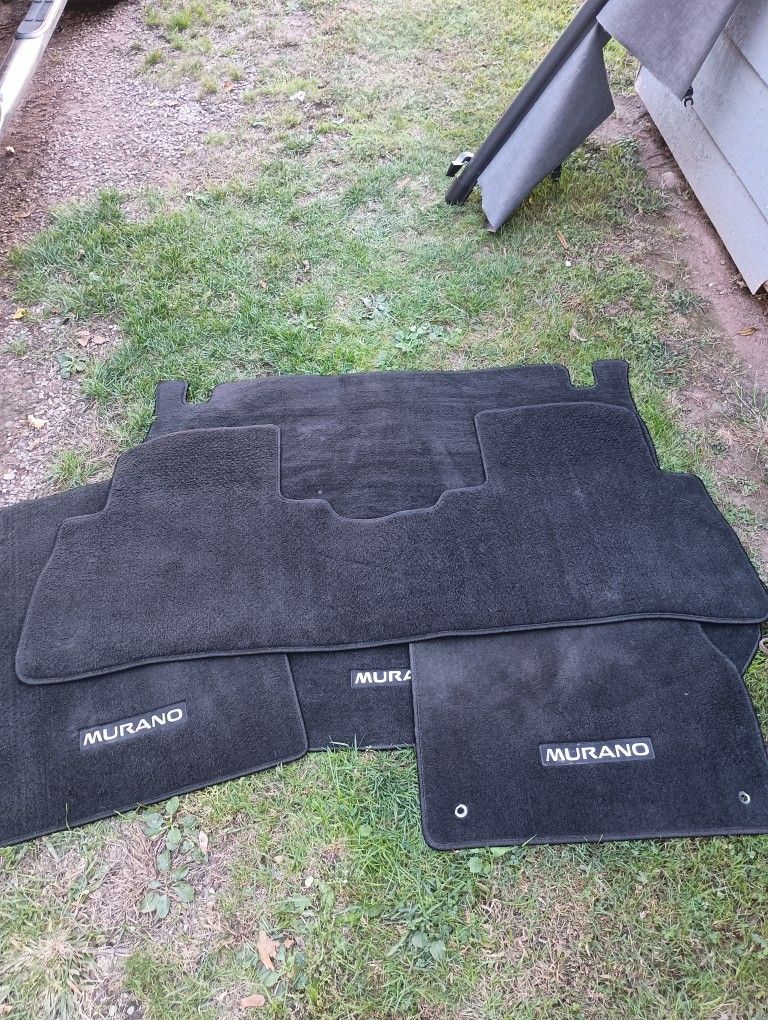 Selling these parts  from a 2010 Nissan Murano SL 