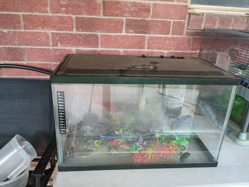 Fish Tank