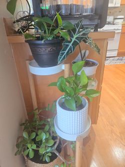 Ikea bamboo planter 3 tier