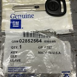 GM / Chevrolet Door Lock and Ignition VATS #10 Blank Key (OEM)