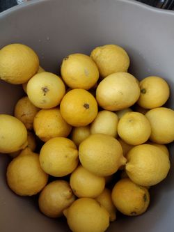 Organic juicy lemons