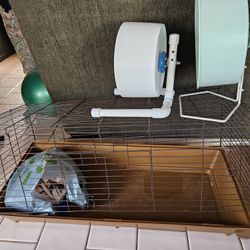 Guinea Pig Cage
