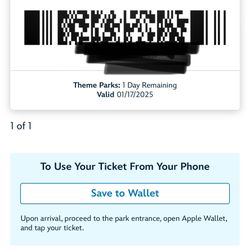 Disney Tickets 