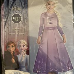 Halloween Costume : Elsa