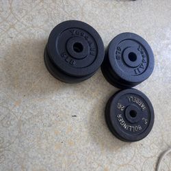 10 5 Pound Weight Plates For Sale