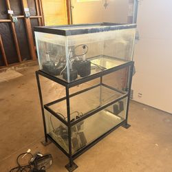 2 40 Gallon Breeders With Stand