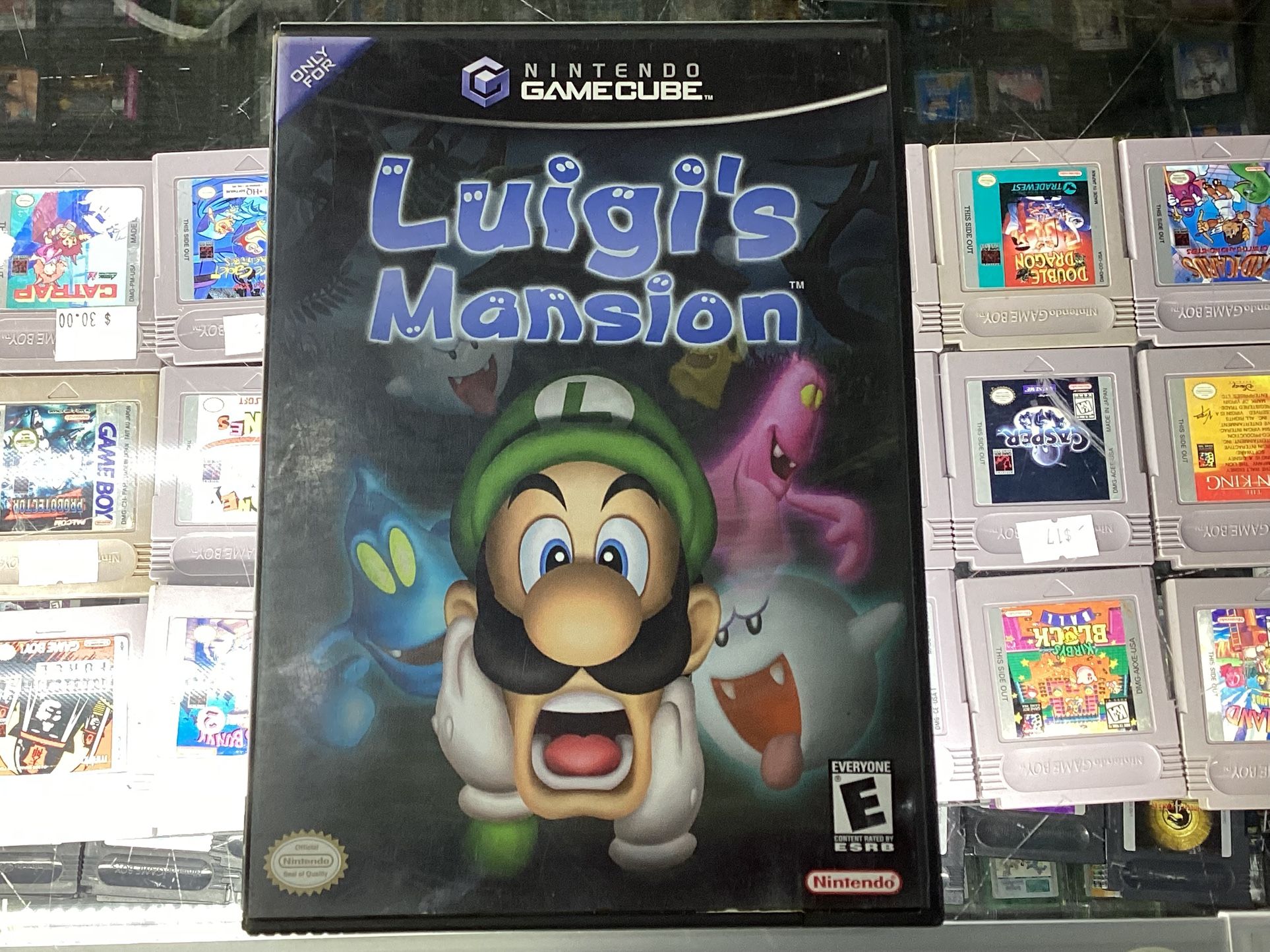 Luigi’s Mansion
