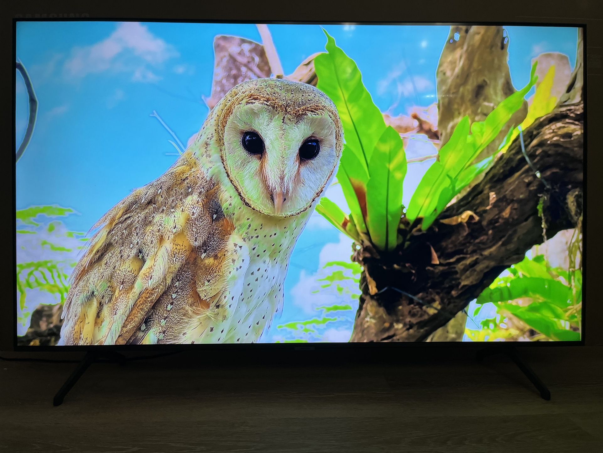 Beautiful 4K 55 Inch Samsung TV 🖥️