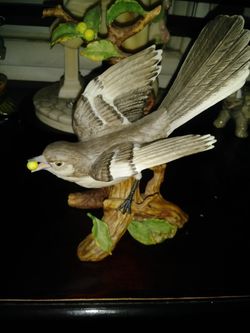 PAJARO HOME INTERIO.