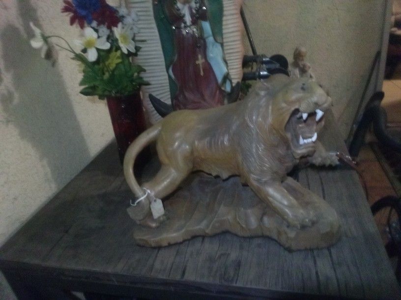 2 Lion Collector