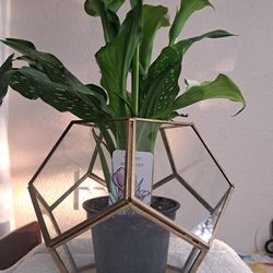   Base For Candle Or Plants 