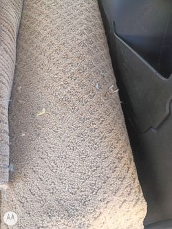 Carpet